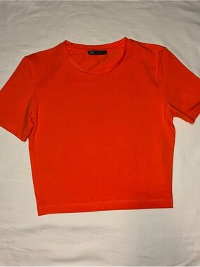 Zara Orange Crewneck Crop Top